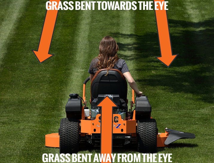 victa ride on mower